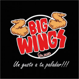 Logo-Big-wings-